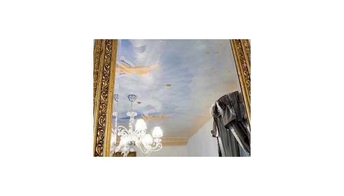 De Seze Hotel poza 7