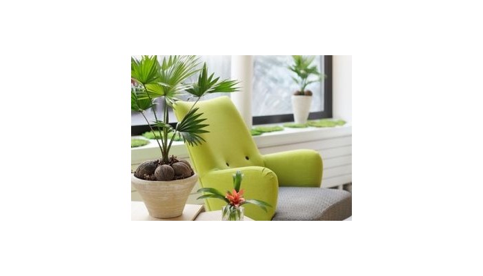 Palm Astotel Hotel poza 11