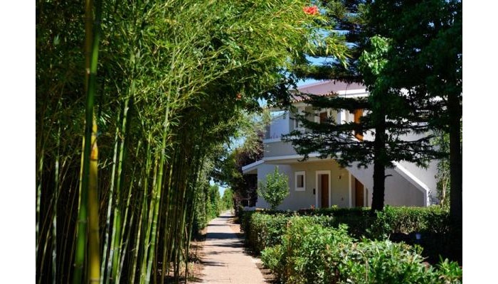 Poza pentru Hotel Acharavi Mare 5403-1699001836 Hotel Acharavi Mare poza 0
