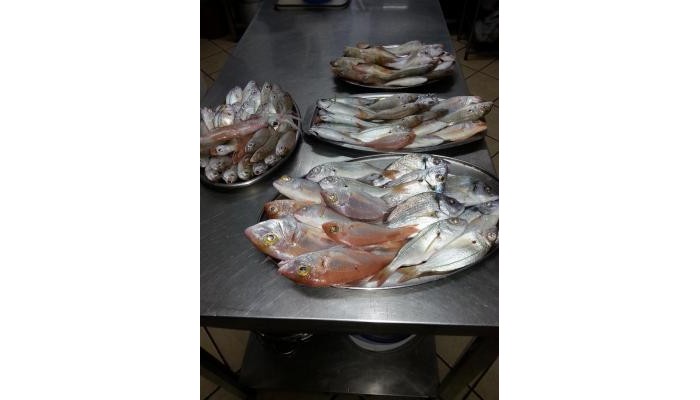 Hotel Ela Mesa poza 8