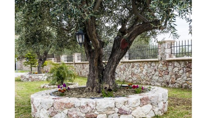 Village View Afandou poza 2