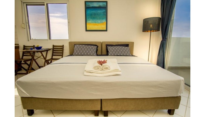 Kahlenberg Apartments poza 4