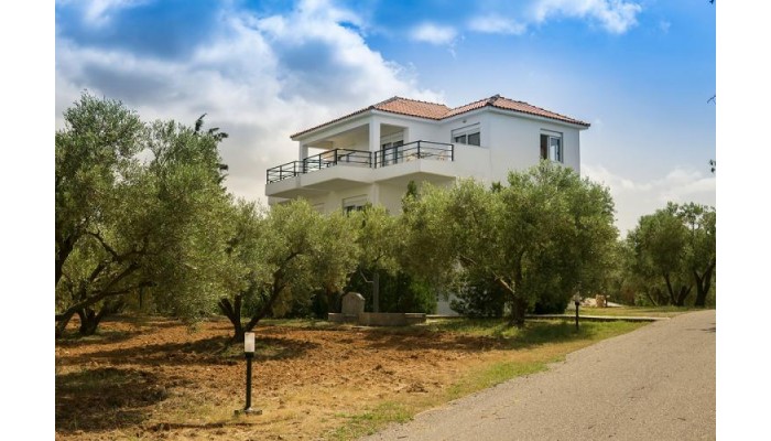 Kahlenberg Apartments poza 2