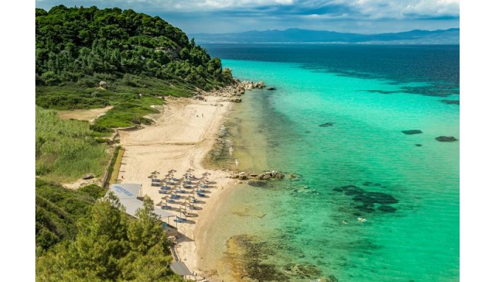 Kahlenberg Apartments poza 5