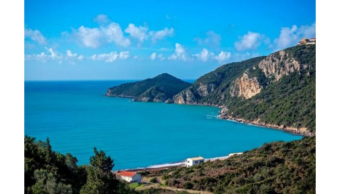 Poza pentru Hotel Cosmos Beach House 2919-1672841642 Hotel Cosmos Beach House poza 18