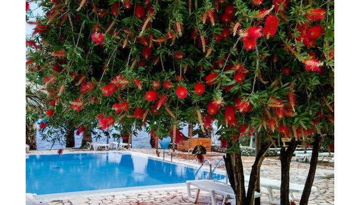 Corfu Senses Resort poza 16