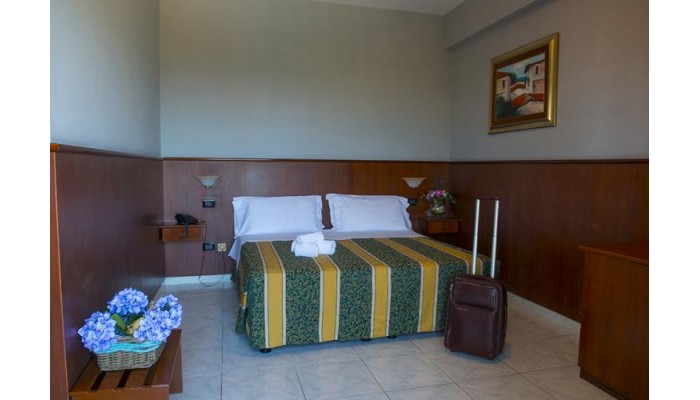 Hotel Dei Pini poza 2