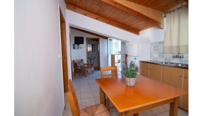 Tassia Studios poza 6