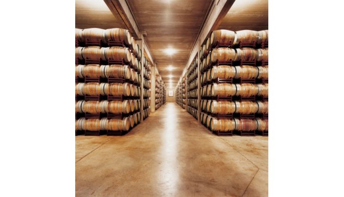 Hotel Marqua©s De Riscal, A Luxury Collection Hotel, Elciego poza 3