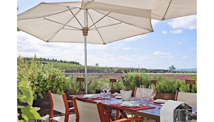 Hotel Marqua©s De Riscal, A Luxury Collection Hotel, Elciego poza 8