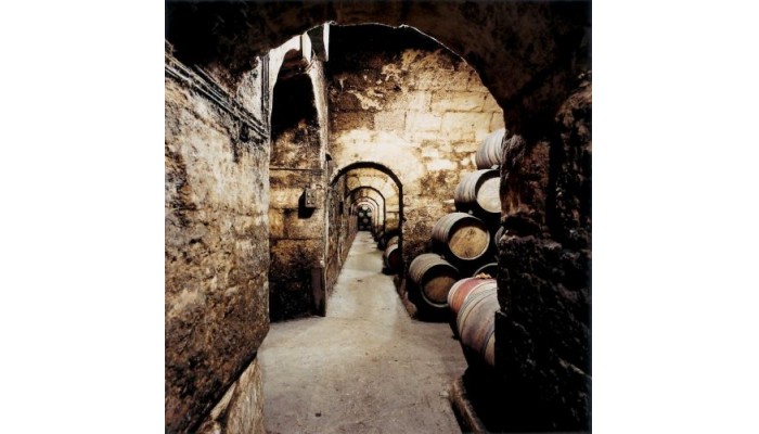 Hotel Marqua©s De Riscal, A Luxury Collection Hotel, Elciego poza 2