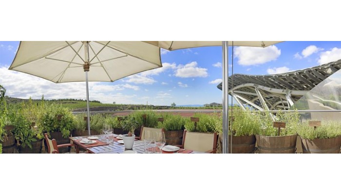 Hotel Marqua©s De Riscal, A Luxury Collection Hotel, Elciego poza 7