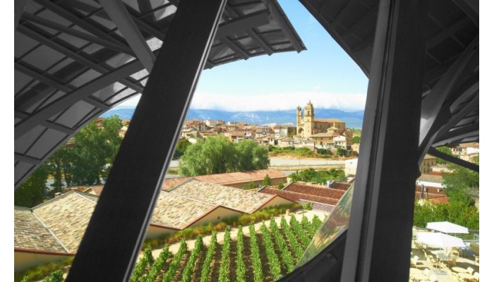 Hotel Marqua©s De Riscal, A Luxury Collection Hotel, Elciego poza 5