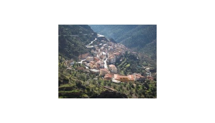 Hotel Felipe Ii poza 5