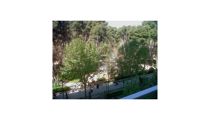 Hotel Sercotel Los Llanos poza 7