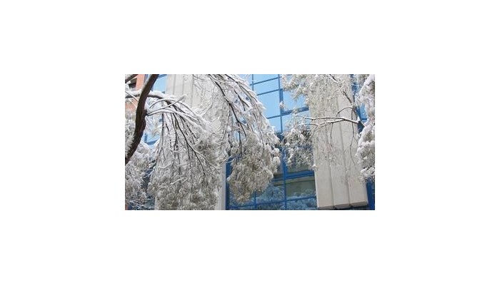 Hotel Sercotel San Jose poza 9