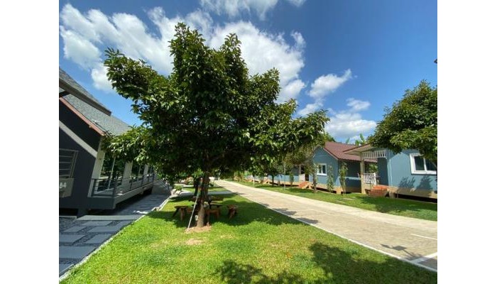 Be Leaf Resort poza 8