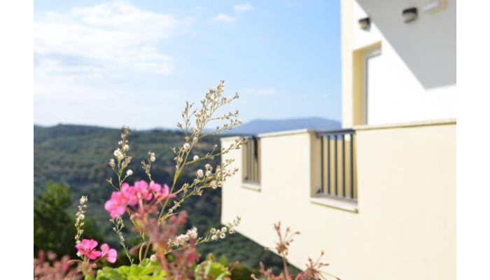 Kaloudis Apartments poza 7