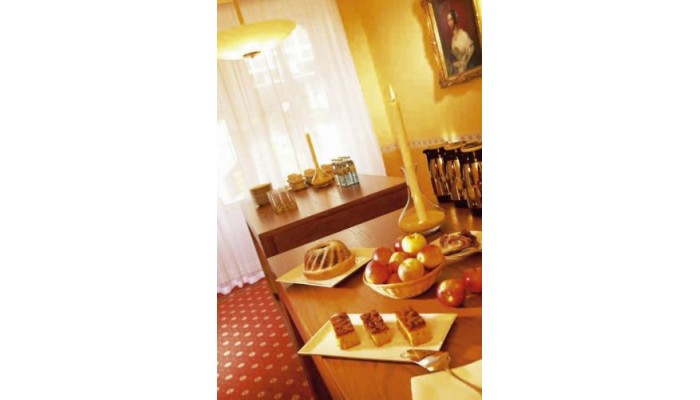 Hotel Bellevue Wien poza 0