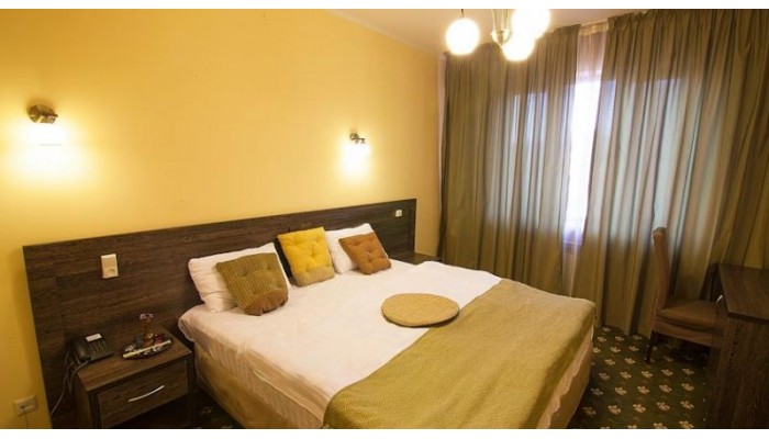 Golden Palace Hotel poza 8