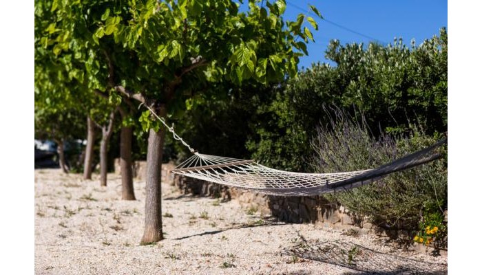 Hotel Evi Rooms poza 6