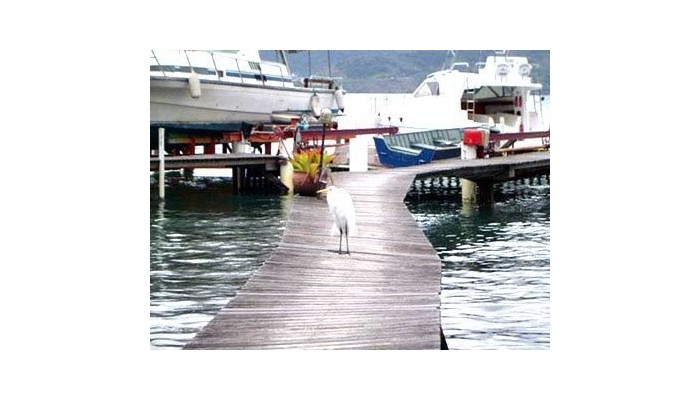 Hotel-pousada Sossego Do Major poza 1