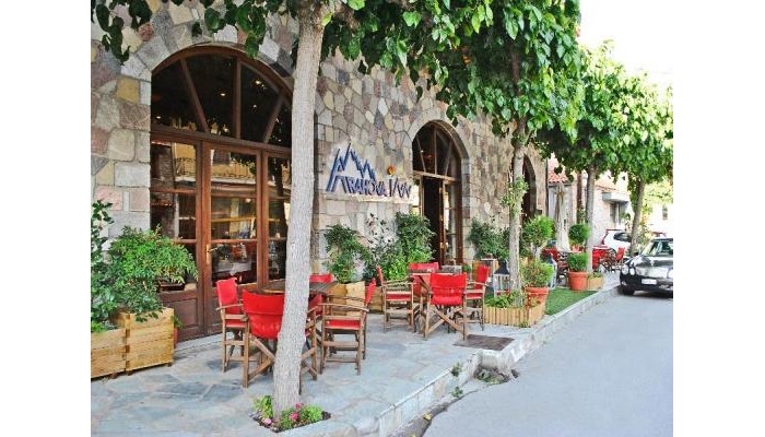 Hotel Arahova Inn poza 4