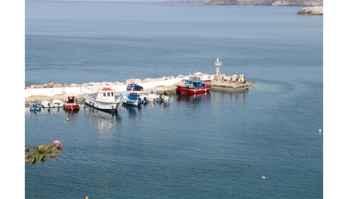 Sarlot Studios poza 14