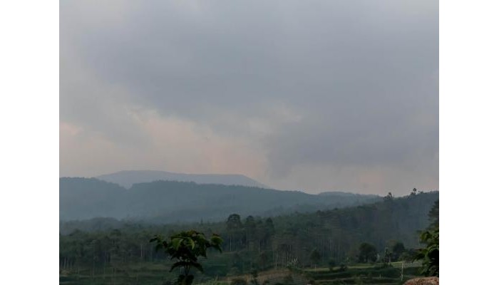 Hotel Nida Rooms Gunung Putri Bosscha poza 1