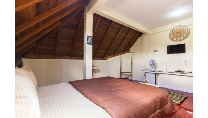 Hotel Pele Backpacker Guesthouse poza 0