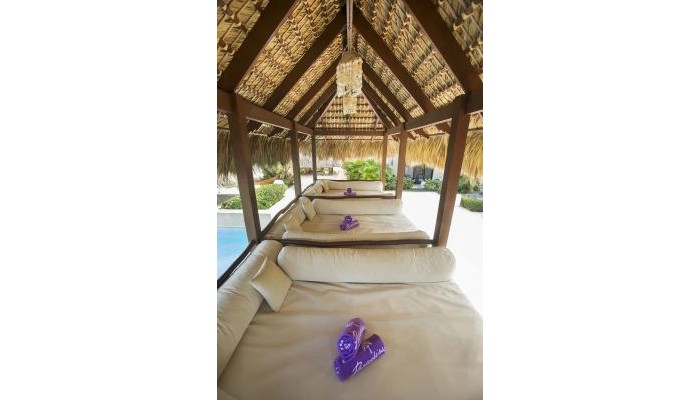 Poza pentru Hotel Royal Service At Paradisus Punta Cana - Adults Only All Inclusive 9950-1567230676 Hotel Royal Service At Paradisus Punta Cana - Adults Only All Inclusive poza 1