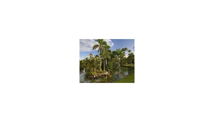 Poza pentru Hotel The Level At Melia Caribe 42-1455279332 Hotel The Level At Melia Caribe poza 8