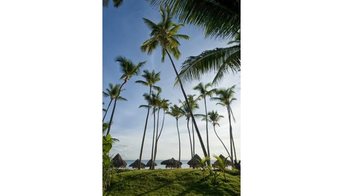 Poza pentru Melia Punta Cana Beach Resort - Adults Only All Inclusive 8061-1567230603 Melia Punta Cana Beach Resort - Adults Only All Inclusive poza 7