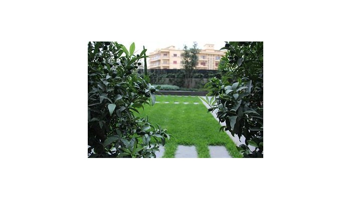 Hotel The Smallville poza 5