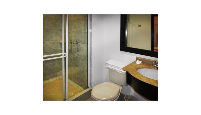 Hotel American Deluxe poza 0