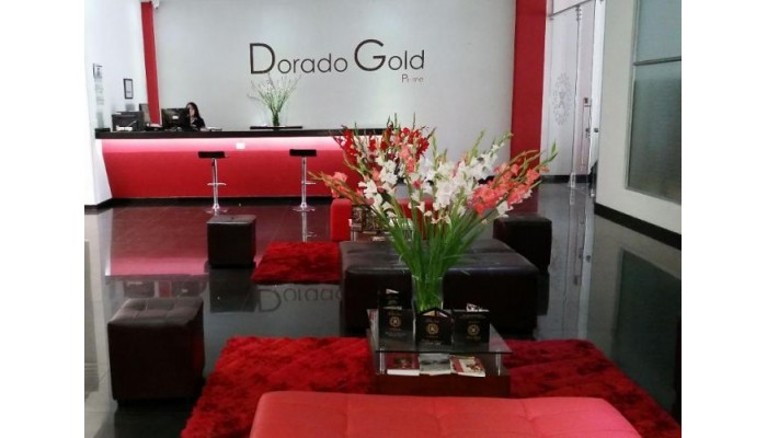 Hotel Dorado Gold Prime poza 4
