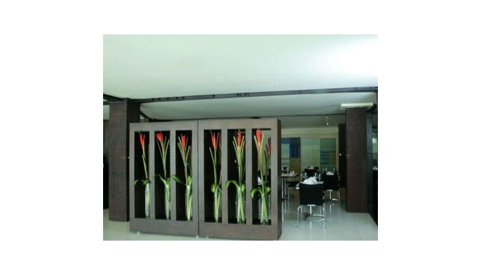 Hotel Lugano Imperial Suites poza 3
