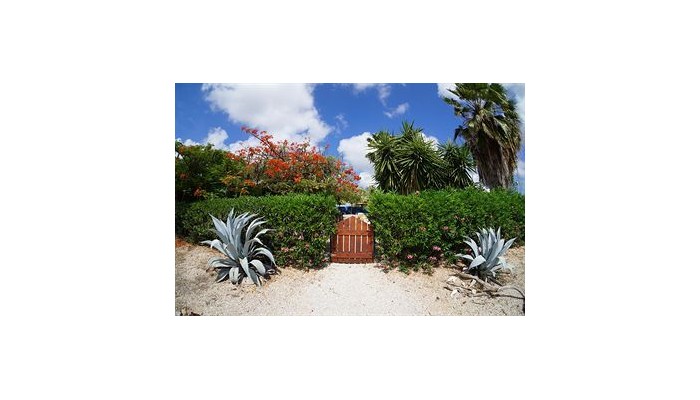 Hotel Caribbean Chillout poza 0