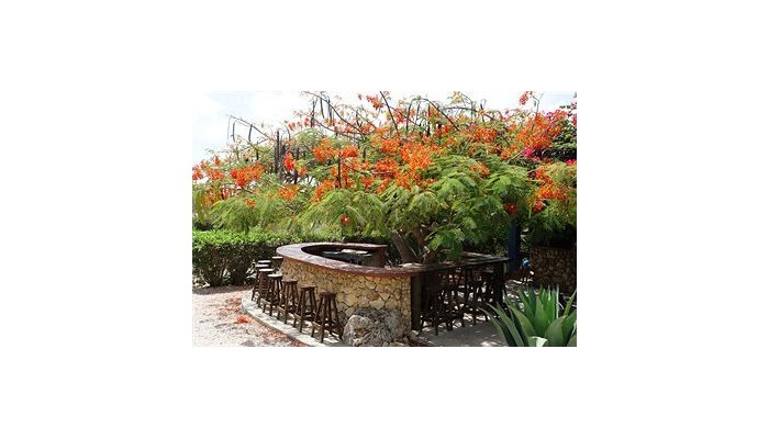 Hotel Caribbean Chillout poza 4