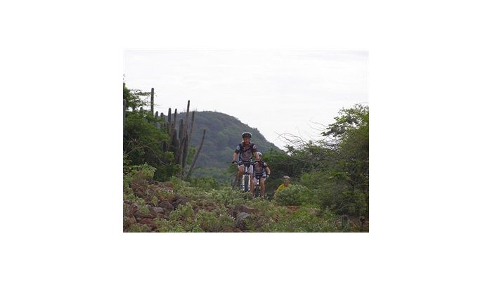 Hotel Wanapa Lodge poza 5