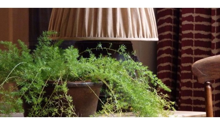 Apartment Dijver poza 3