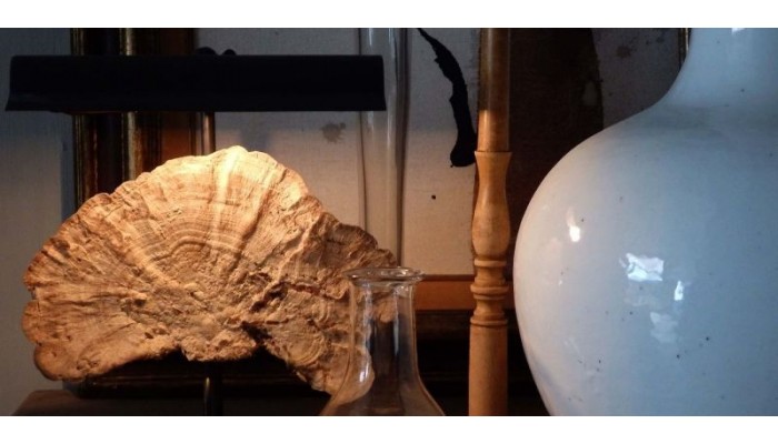 Apartment Dijver poza 0