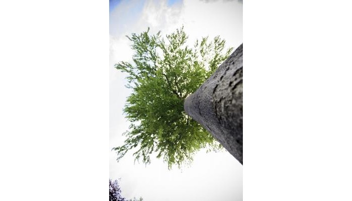 Hotel B&b Hof Ter Beuke poza 8