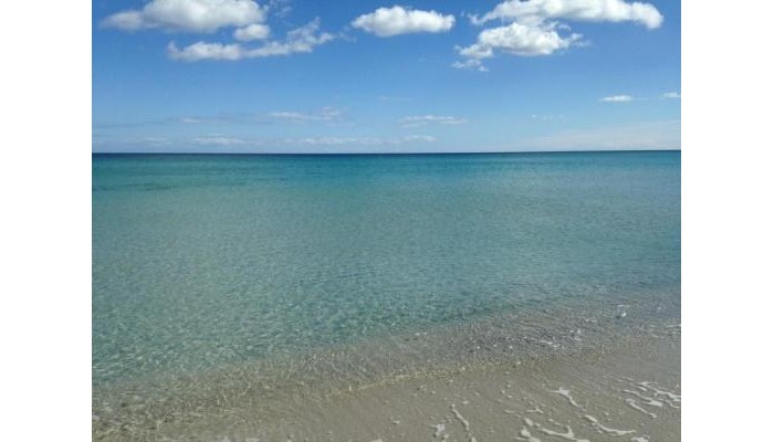 Porto Ottiolu Resort poza 5