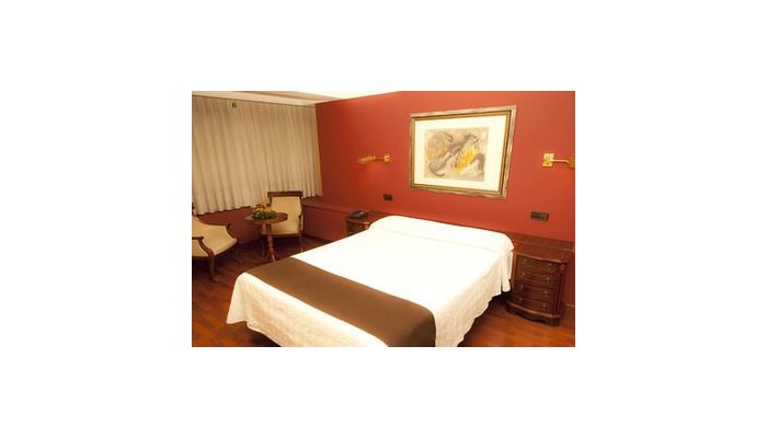 Hotel Sercotel Corona De Castilla poza 1