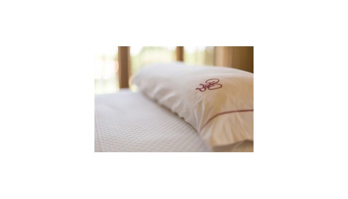 Hotel Torremilanos poza 2