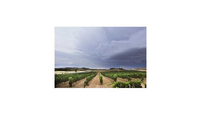 Hotel Tudanca Aranda poza 8