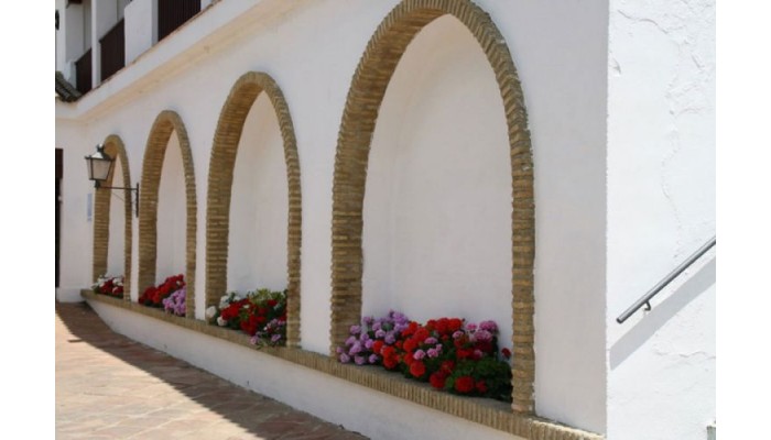 Villa De Algar poza 1