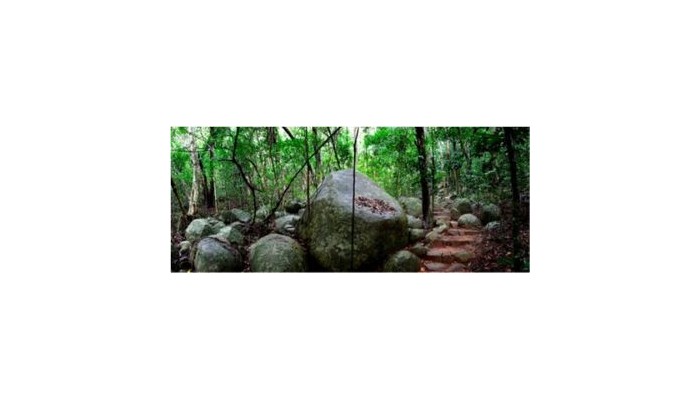 Fitzroy Island Resort poza 8