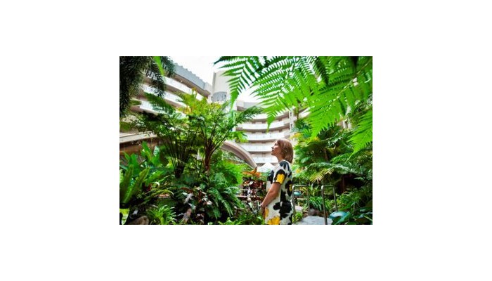 Hotel Double Tree By Hilton Cairns poza 4